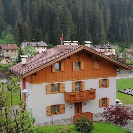 B&B Il Tulipano San Pietro di Cadore Dış mekan fotoğraf