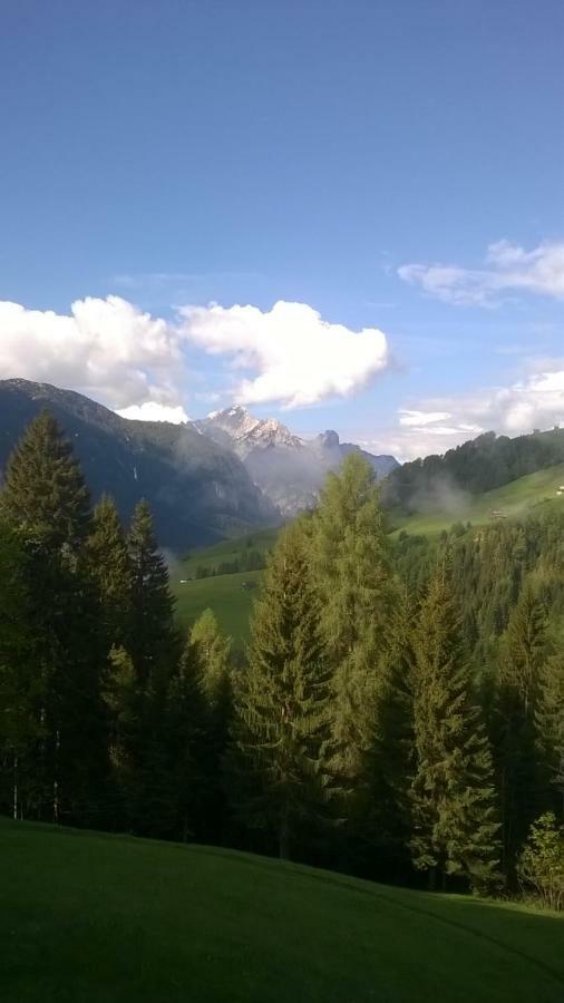 B&B Il Tulipano San Pietro di Cadore Dış mekan fotoğraf
