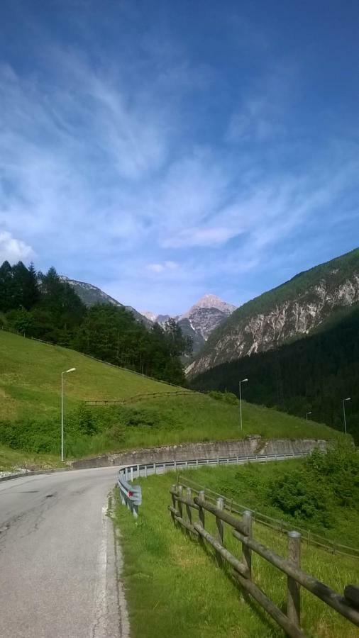 B&B Il Tulipano San Pietro di Cadore Dış mekan fotoğraf